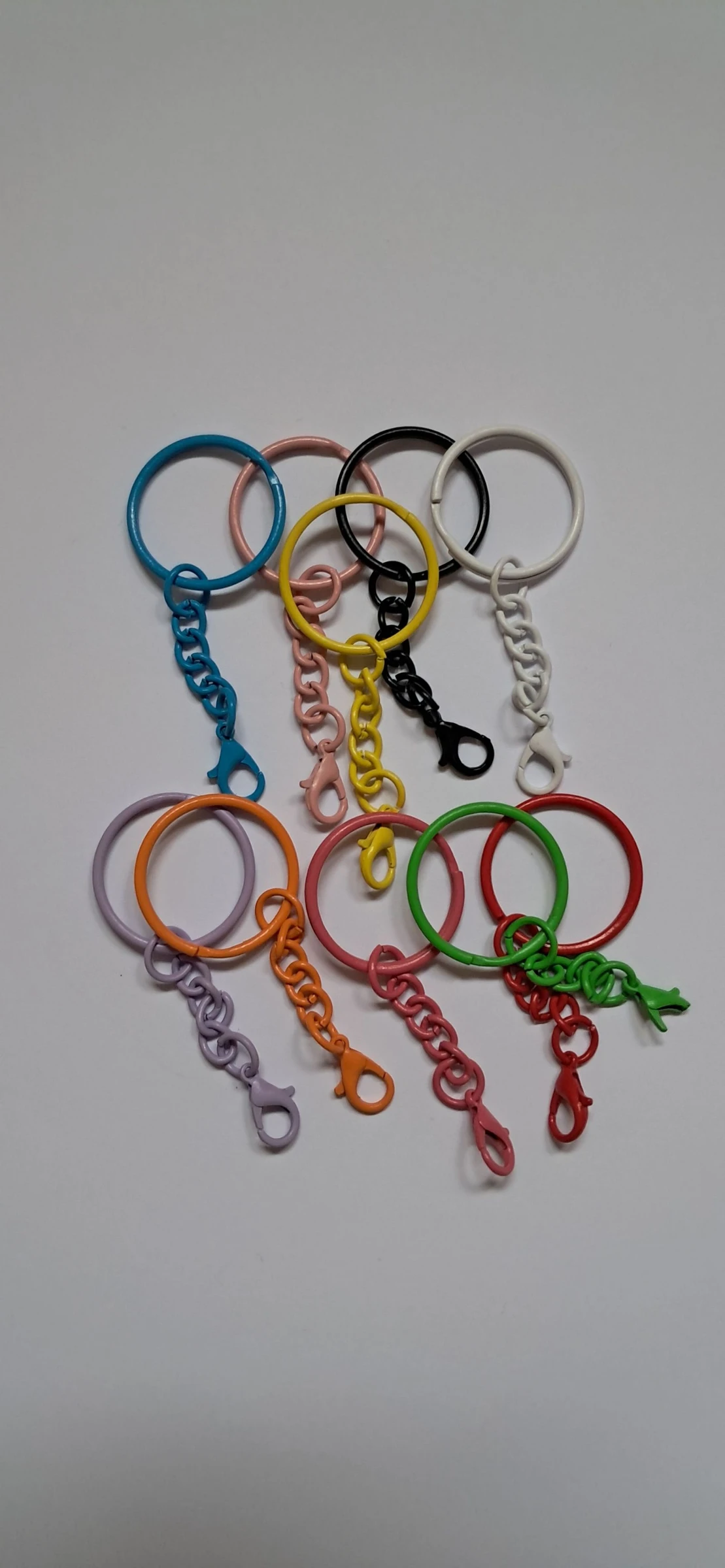 10 porte-clés attache multicolore 
